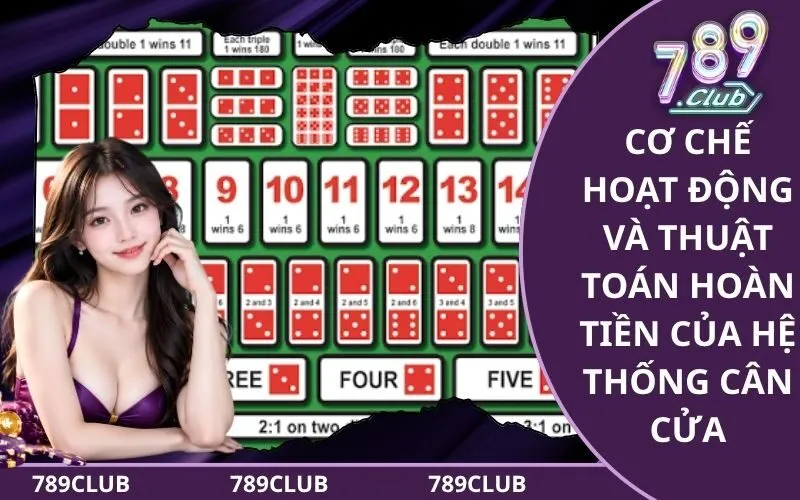 Cơ Chế Hoạt Động Và Thuật Toán Hoàn Tiền Của Hệ Thống Cân Cửa