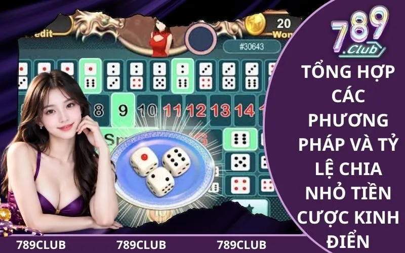 Kỹ năng kết hợp việc soi cầu và điều tiết tỷ lệ tiền cược
